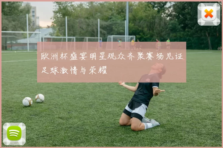欧洲杯盛宴明星观众齐聚赛场见证足球激情与荣耀